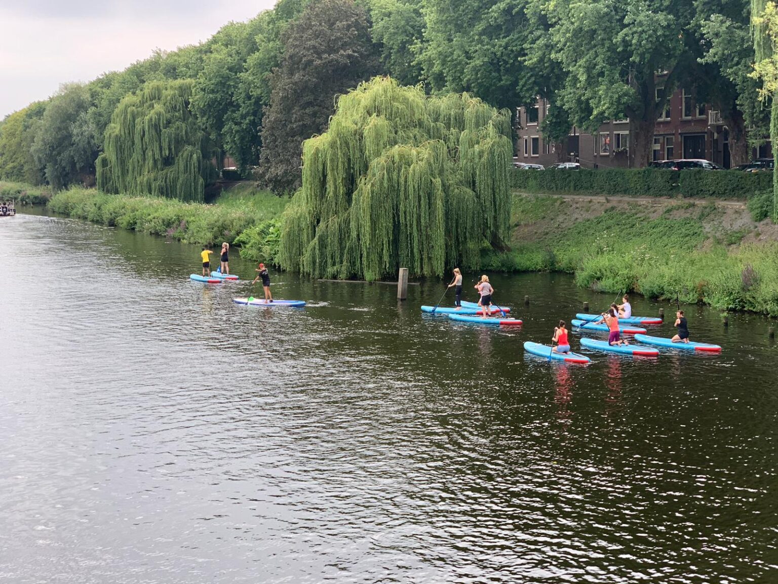 suppen den bosch