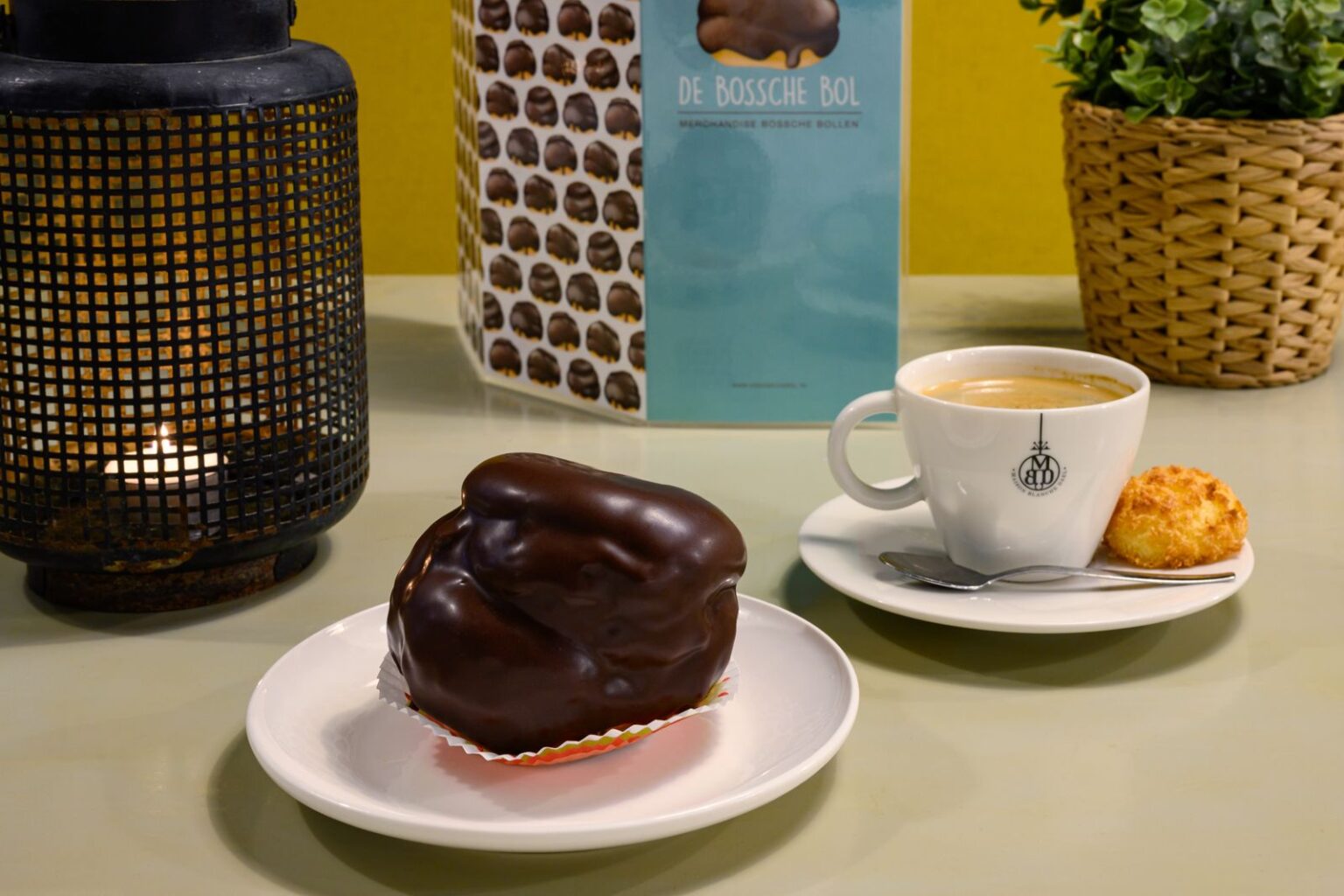 bossche bol