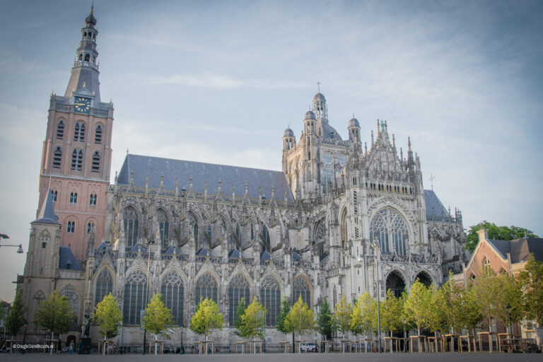 Sint jan den bosch 32 768x512