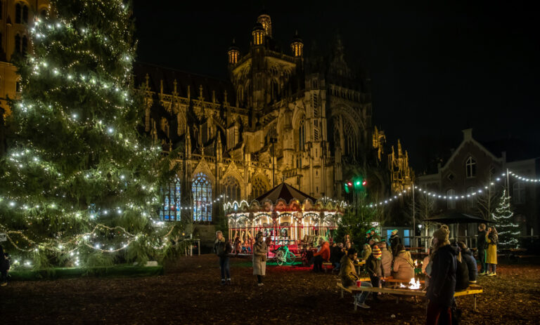 bossche winter 768x463